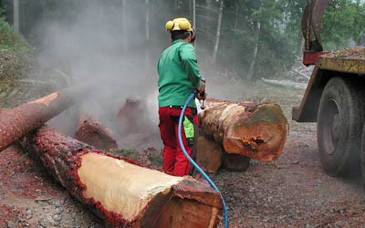 DYNAJET for agriculture & the timber industry